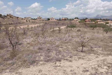 Helårsgrund i Monovar, Alicante, Monovar - € 69.995 | Ref: SF0514 - foto 4